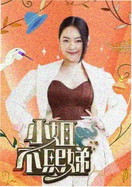 一起露营吧 户外真人秀免费观看